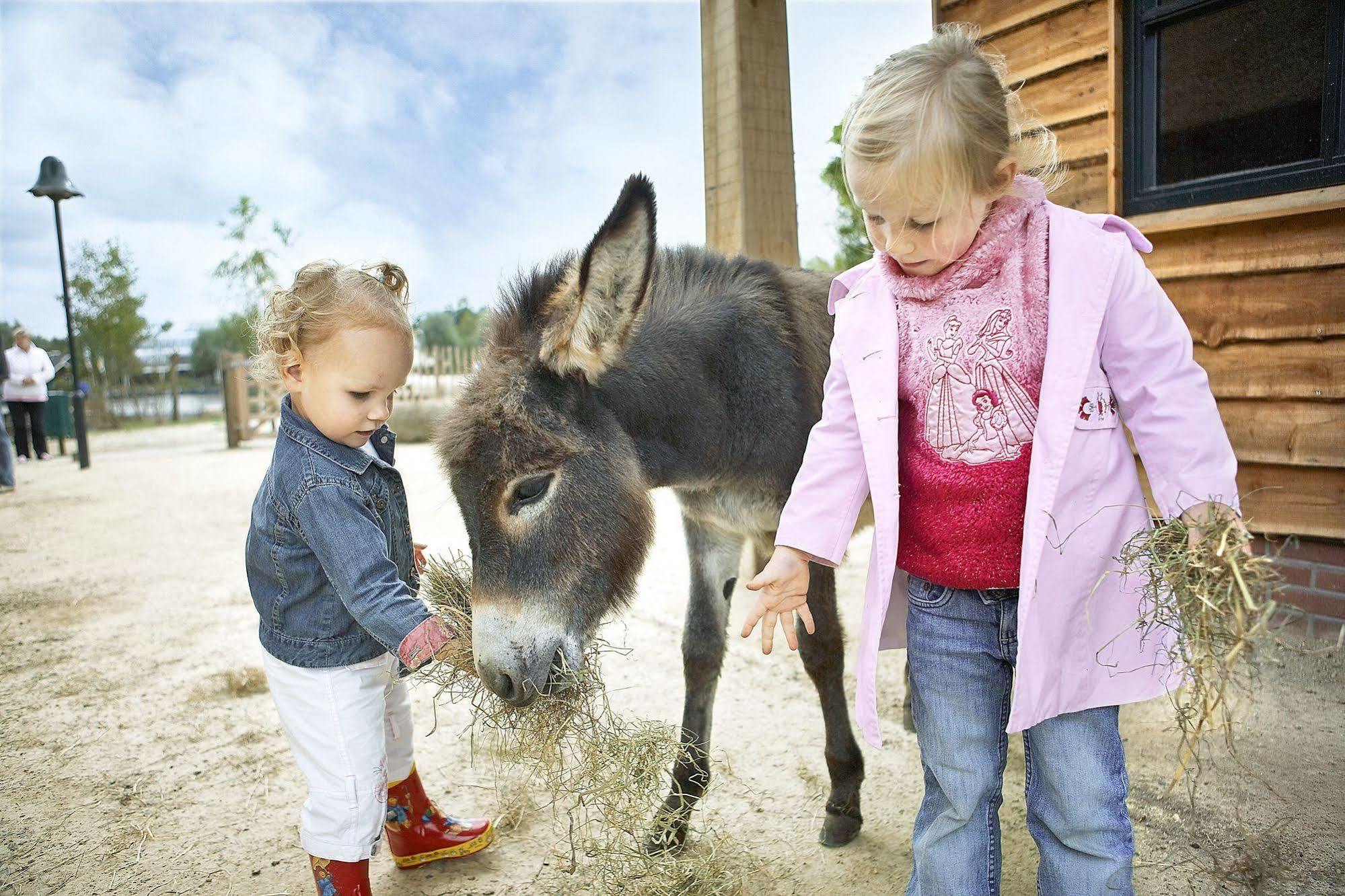 Center Parcs Huttenheugte Drenthe-Overijssel Dalen Kültér fotó